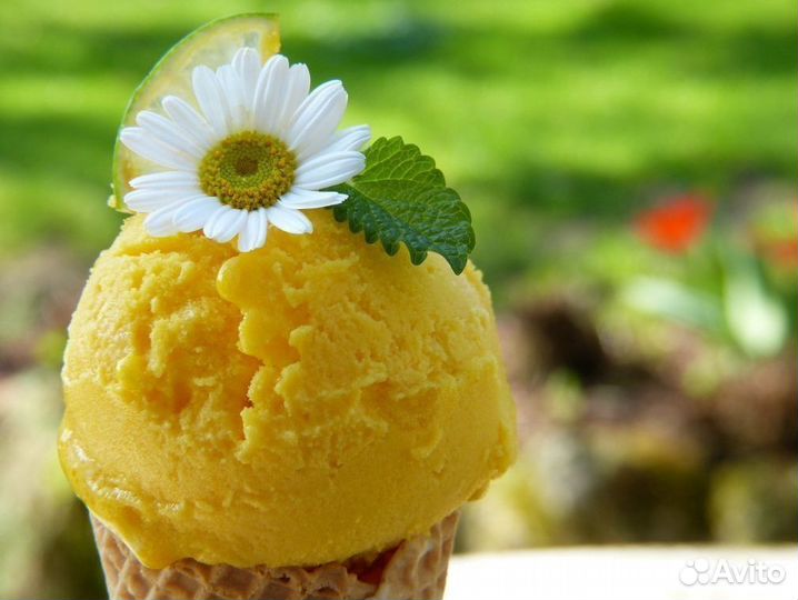 Франшиза лакомства с алкоголем – быстрый старт