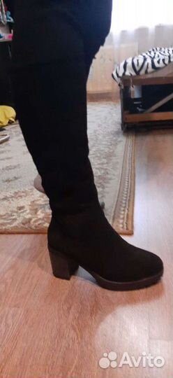 Сапоги женские замшевые