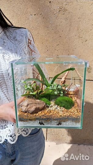 Флорариум куб
