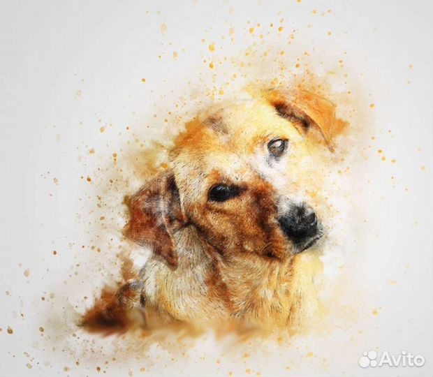 Макеты/Шаблоны для печати на футболках и кружках