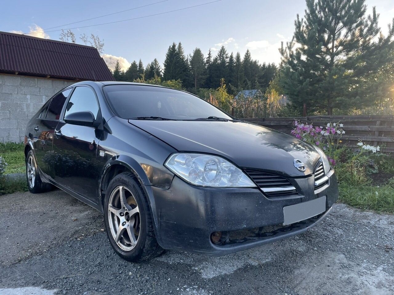 Nissan Primera: фото владельца