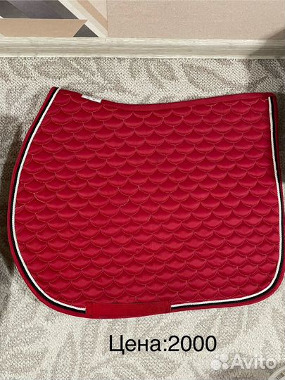 Выездковые вальтрап