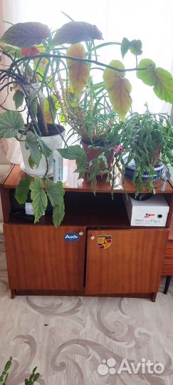 Тумба под тв