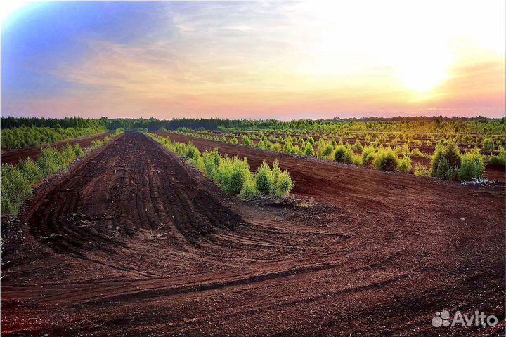 Торф с экспресс-доставкой и превосходным качеством