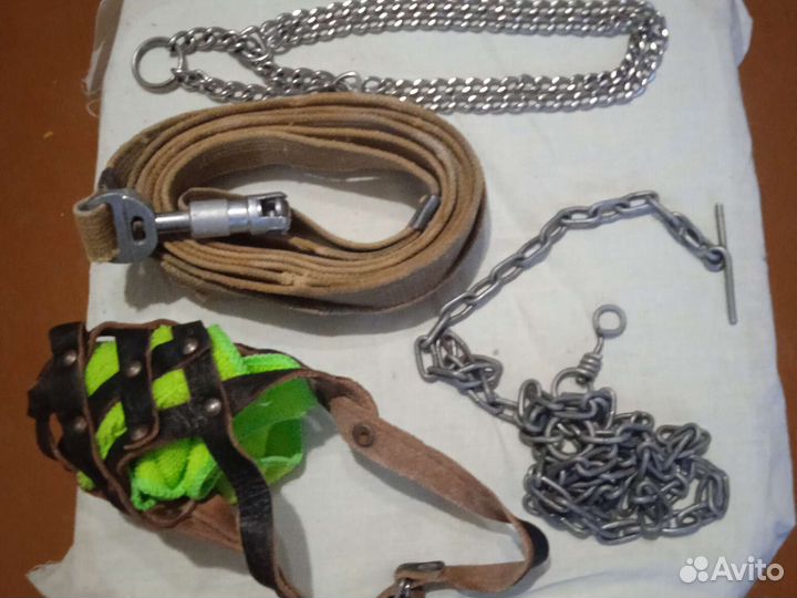 Аксессуары для собаки