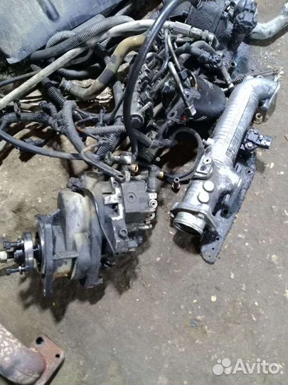 Тнвд на д 245