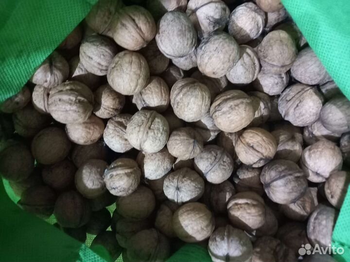 Продам грецкий орех