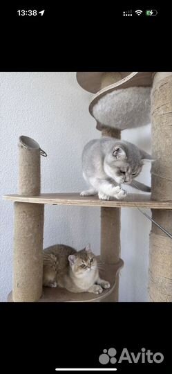 Очень хороший персонаж