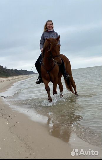 Конный поход