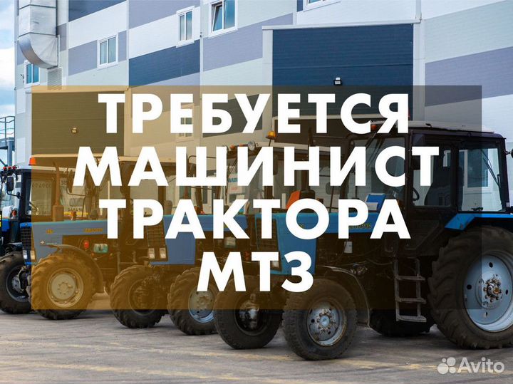 Водитель трактора мтз 82 / тракторист