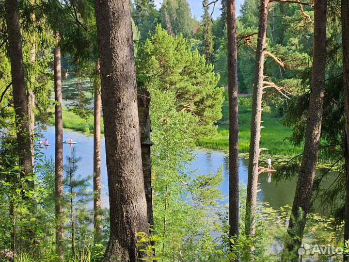 Сплавы по реке Оредеж SUP борд, байдарка