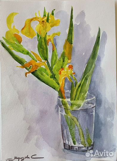 Ирис дикий. Дендробиум. Ботаника. Акварель