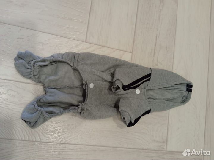 Одежда для маленьких собак