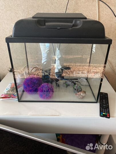 Аквариум для рыб