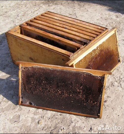 Сушь для пчел