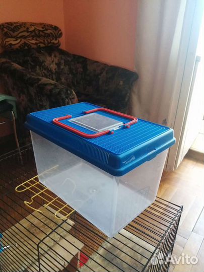 Контейнер для купания грызунов