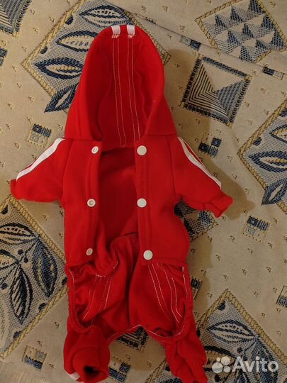 Одежда для маленьких собак пакетом