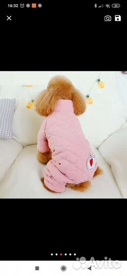 Комбинезон демисезонный на собаку