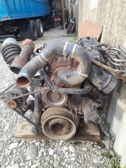 Мотор man камандор