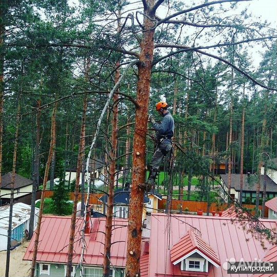 Вспашка земли. Выравнивание участка. Расчистка уча