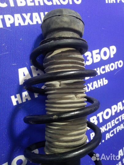 Передняя правая стойка амортизатора Skoda Octavia