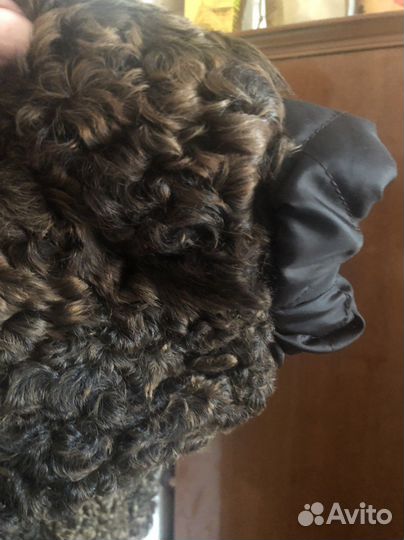 Шуба каракуль