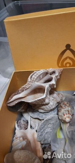 Грот, ракушки, камушки для авариума