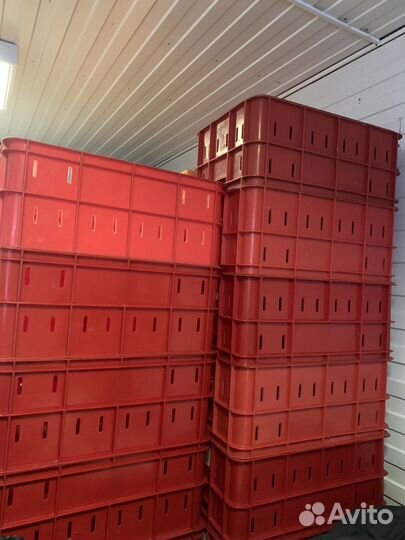 Ящик пластиковый полипропиленовый