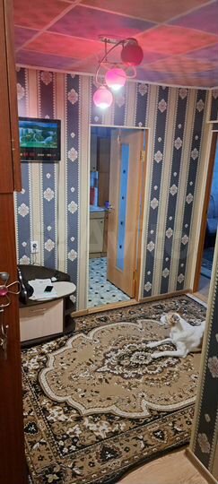 2-к. квартира, 51,1 м², 4/5 эт.