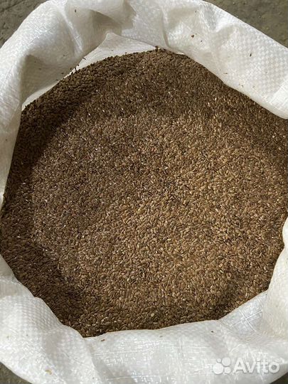 Семена Льна