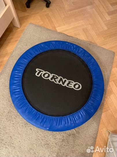 Детский батут Torneo