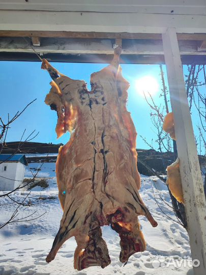 Сушеное мясо баранина