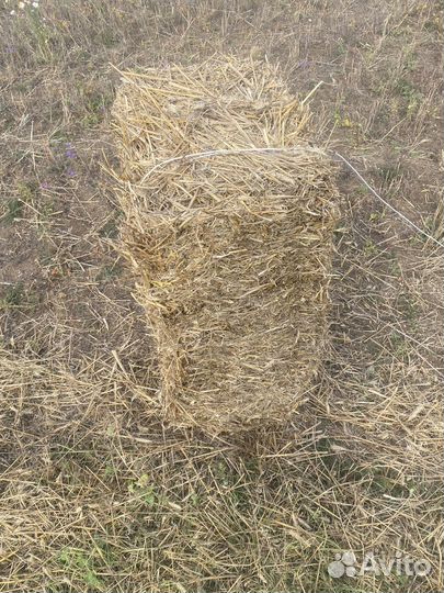 Солома в тюках для мульчирования