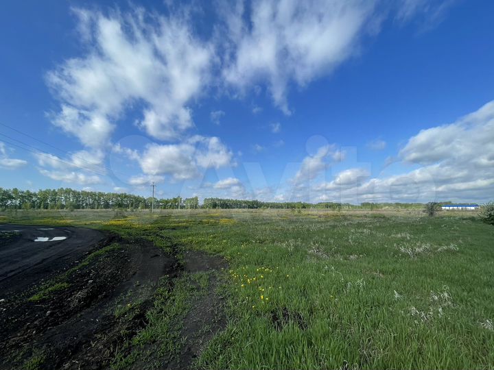 Участок 9 сот. (ИЖС)