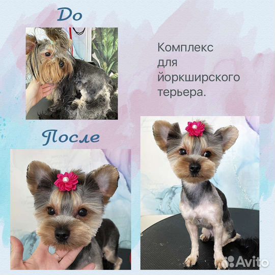 Стрижка собак и кошек. Грумер