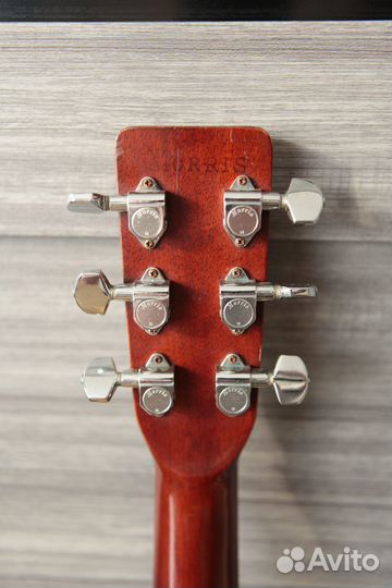 Акустическая гитара morris w-40