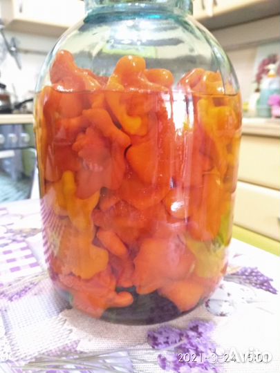 Самый острый перец в мире рассада и семена