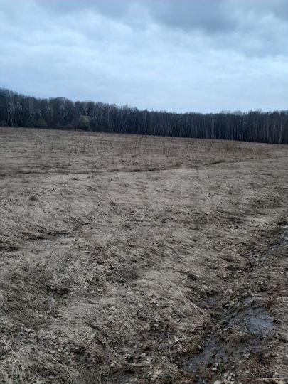 Участок 4,4 га (СНТ, ДНП)