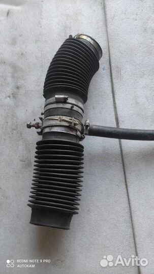 Хлопушка гбо