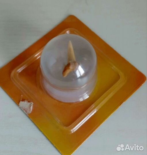 Окаменелый зуб акулы