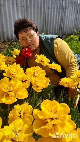 Тюльпаны Пионовидные