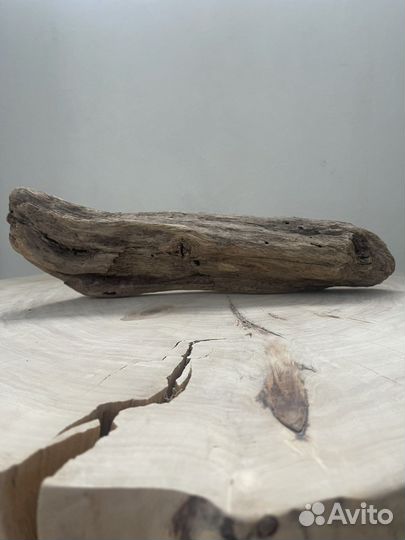 Дрифтвуд Морская коряга