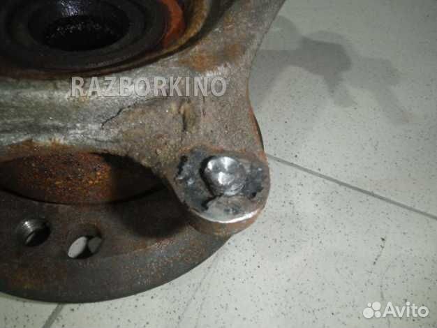 Кулак задний правый