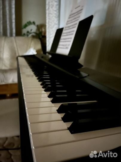 Цифровое пианино Сasio