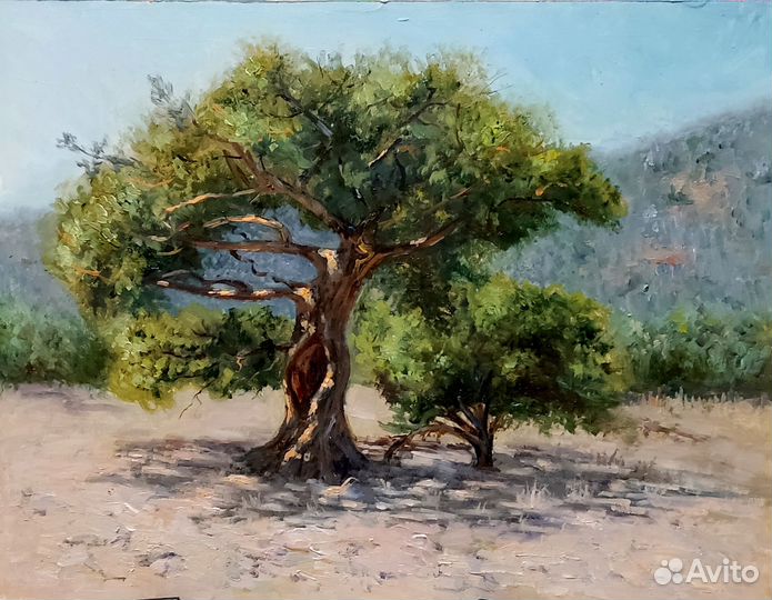 Картина маслом пейзаж Пицундская Сосна у Моря