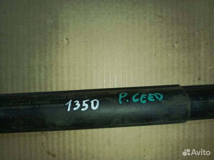 Киа Просид амортизатор двери багажника