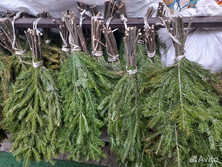 Веники для бани дуб береза