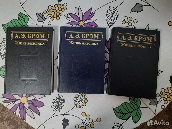 Жизнь животных