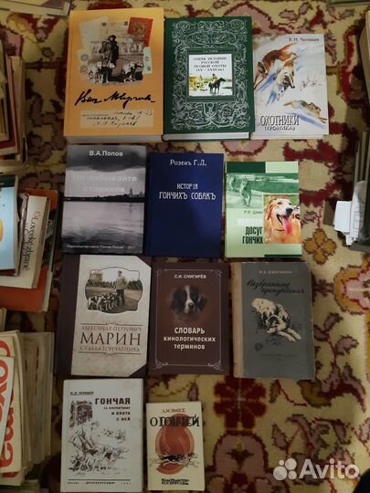 Охота и охотничье хозяйство,охотничьи просторы