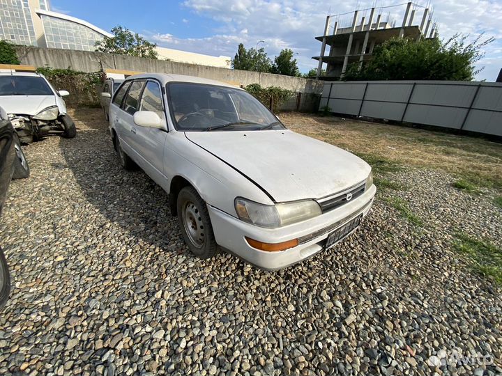 Toyota corolla 100